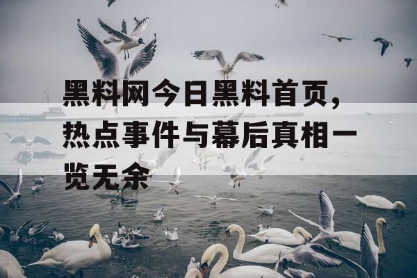 黑料网今日黑料首页,热点事件与幕后真相一览无余
