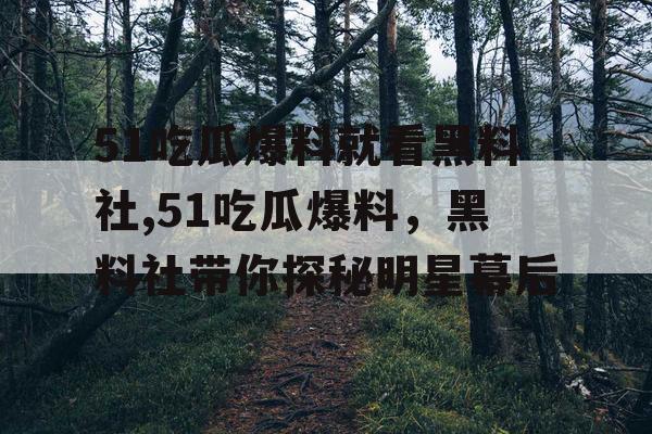 51吃瓜爆料就看黑料社,51吃瓜爆料，黑料社带你探秘明星幕后