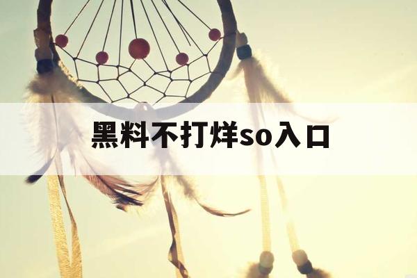 黑料不打烊so入口