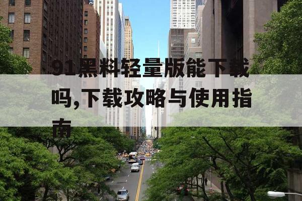 91黑料轻量版能下载吗,下载攻略与使用指南