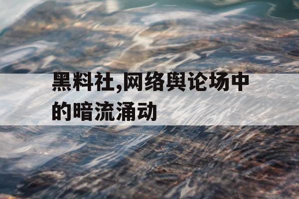 黑料社,网络舆论场中的暗流涌动