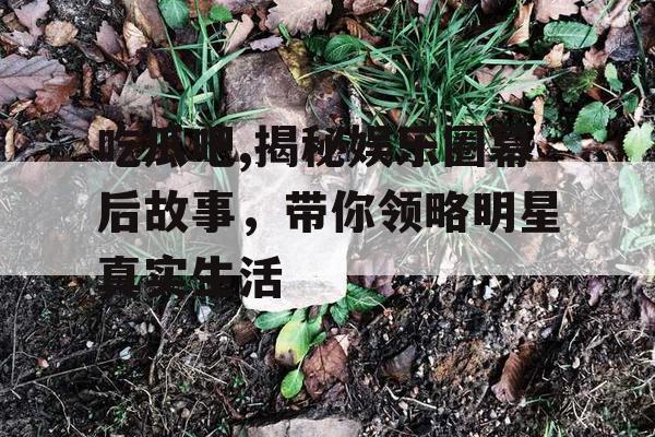 吃瓜吧,揭秘娱乐圈幕后故事，带你领略明星真实生活