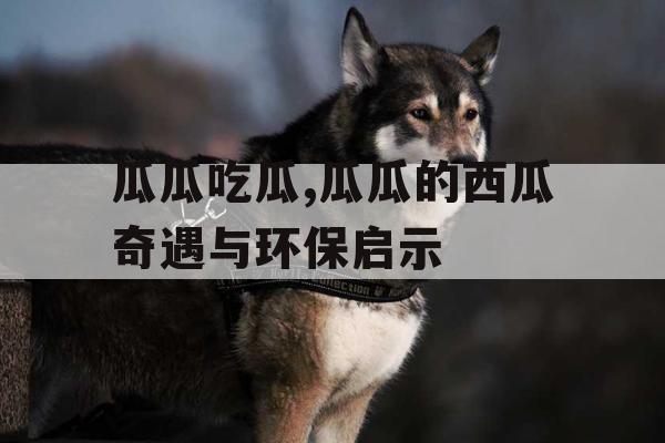瓜瓜吃瓜,瓜瓜的西瓜奇遇与环保启示