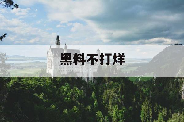 黑料不打烊