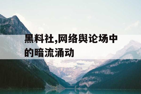 黑料社,网络舆论场中的暗流涌动