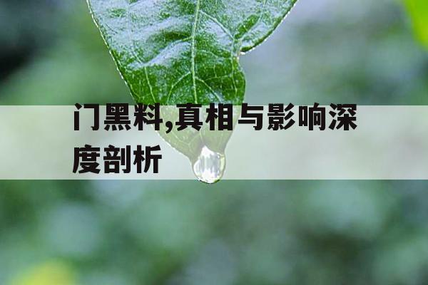 门黑料,真相与影响深度剖析