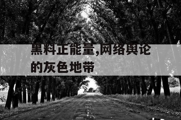 黑料正能量,网络舆论的灰色地带