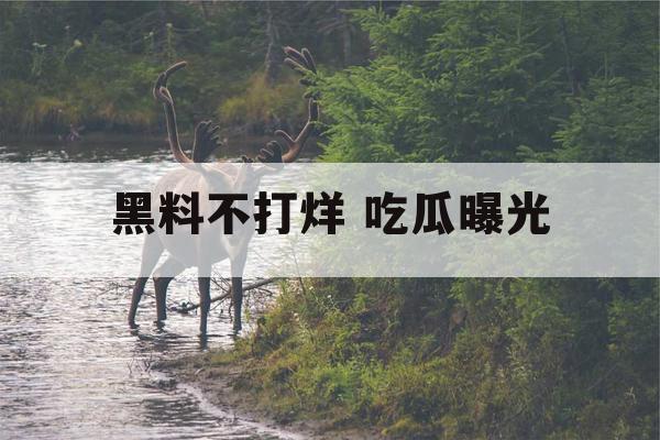 黑料不打烊 吃瓜曝光
