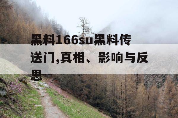 黑料166su黑料传送门,真相、影响与反思