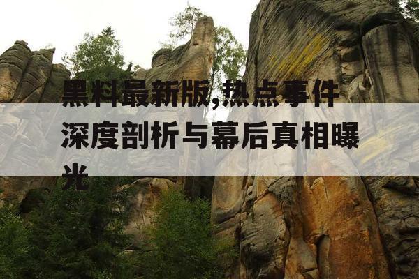 黑料最新版,热点事件深度剖析与幕后真相曝光