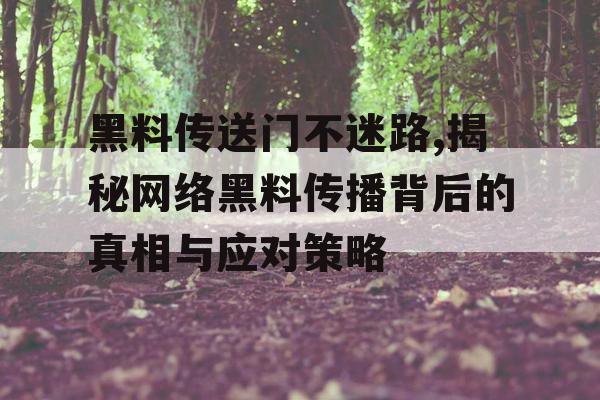 黑料传送门不迷路,揭秘网络黑料传播背后的真相与应对策略