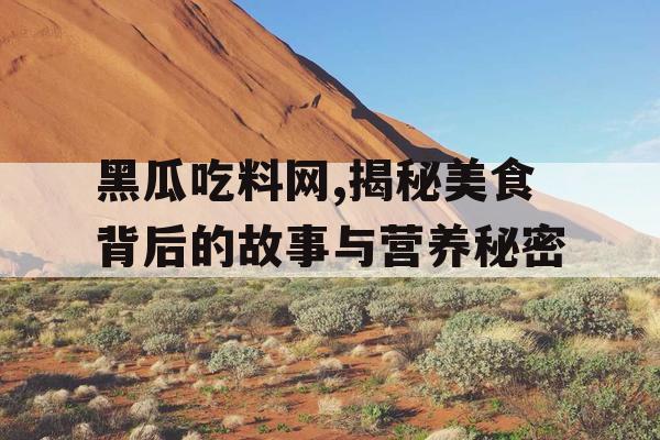 黑瓜吃料网,揭秘美食背后的故事与营养秘密