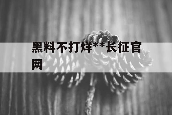 黑料不打烊**长征官网