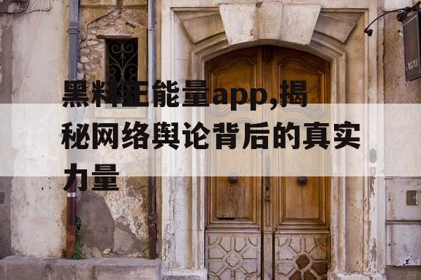 黑料正能量app,揭秘网络舆论背后的真实力量