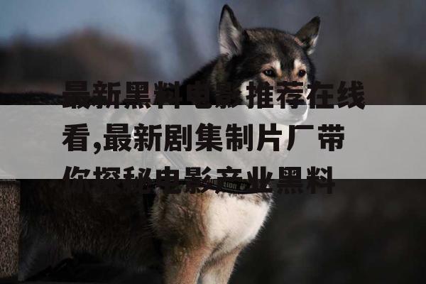 最新黑料电影推荐在线看,最新剧集制片厂带你探秘电影产业黑料