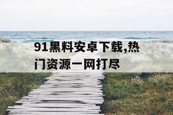 91黑料安卓下载,热门资源一网打尽