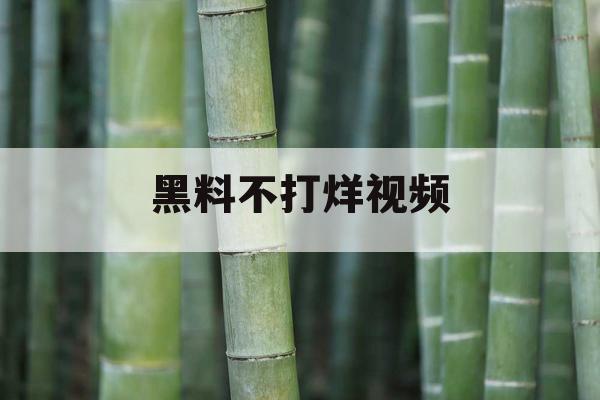 黑料不打烊视频