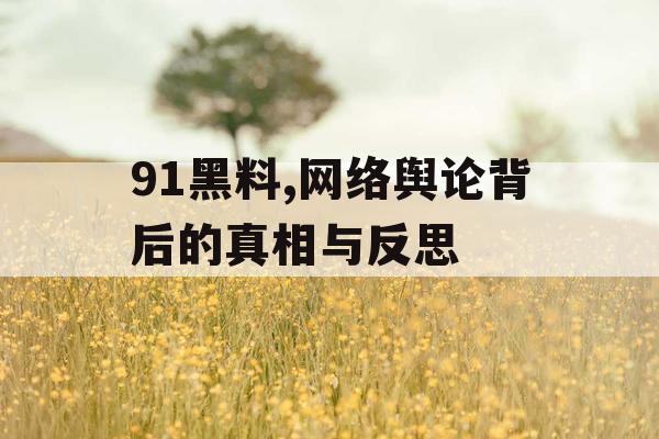91黑料,网络舆论背后的真相与反思