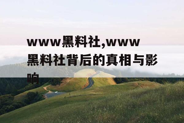 www黑料社,www黑料社背后的真相与影响