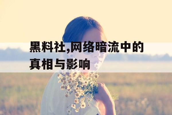 黑料社,网络暗流中的真相与影响