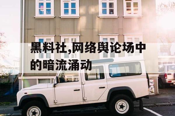 黑料社,网络舆论场中的暗流涌动