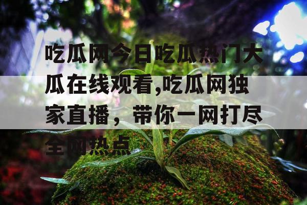 吃瓜网今日吃瓜热门大瓜在线观看,吃瓜网独家直播，带你一网打尽全网热点